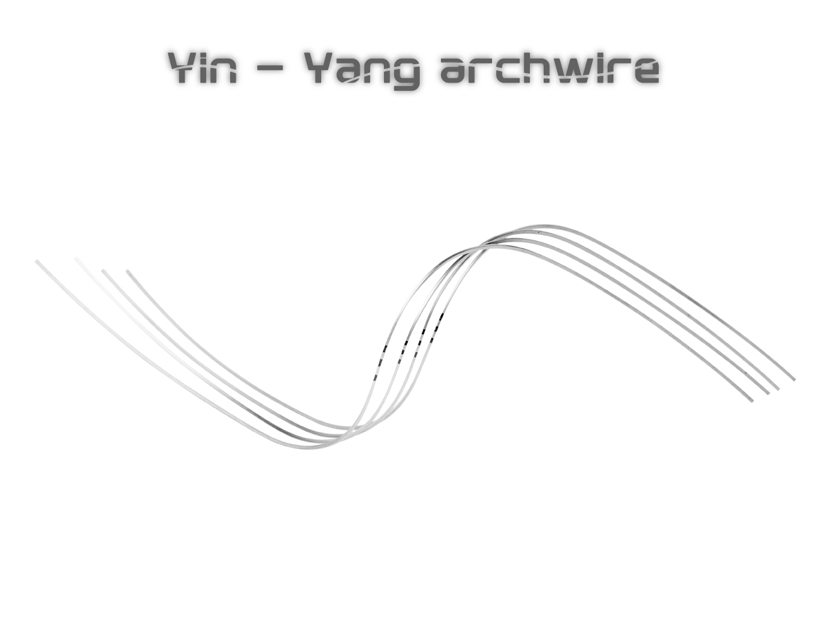 YinYang Archwire